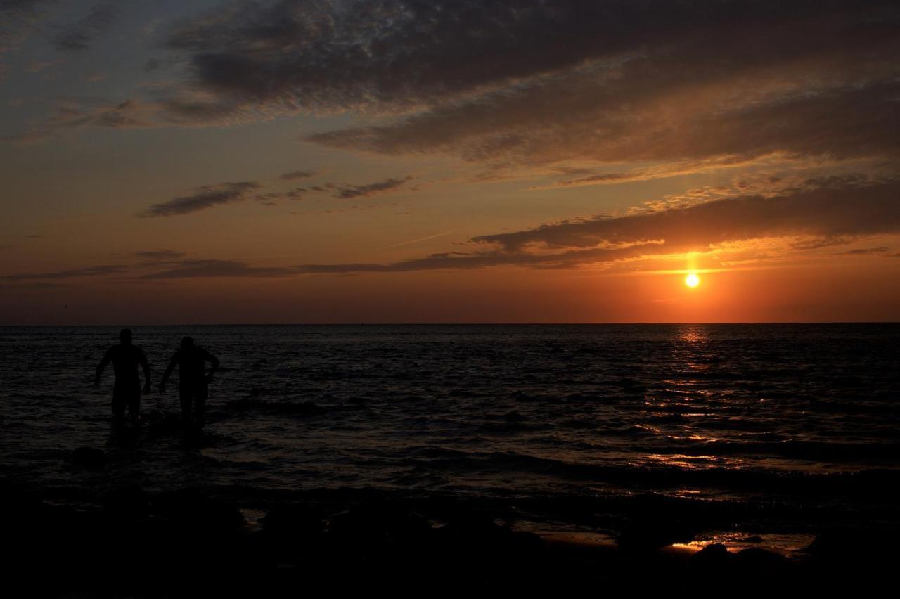 Dutch African Breeze Den Helder Bagian luar foto